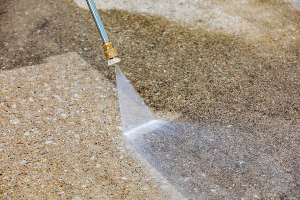 Best Animal Enclosure Cleaning  in Marist College, NY
